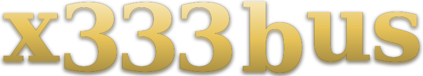 x333 bus logo